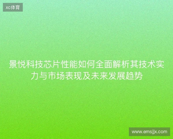 景悦科技芯片性能如何全面解析其技术实力与市场表现及未来发展趋势